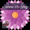 jiuyou九游娱乐 logo