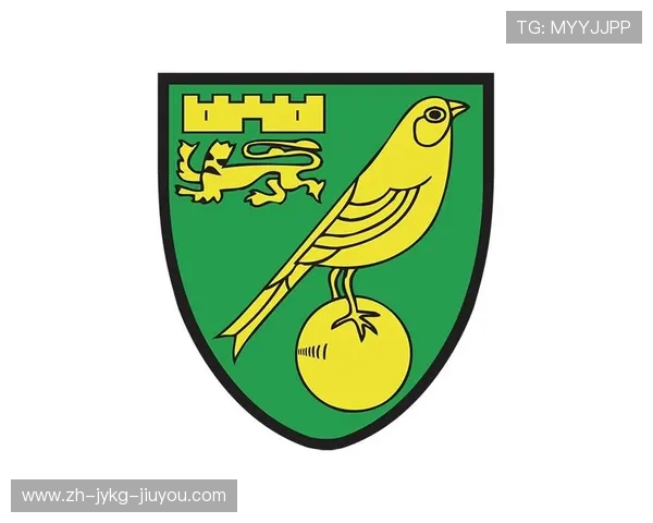 英超诺维奇球衣款式及球队特色介绍