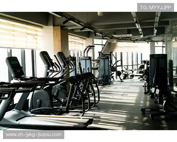 高端健身器械跨境贸易专家：打造智能健身房生态系统