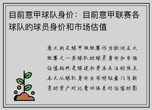 目前意甲球队身价：目前意甲联赛各球队的球员身价和市场估值
