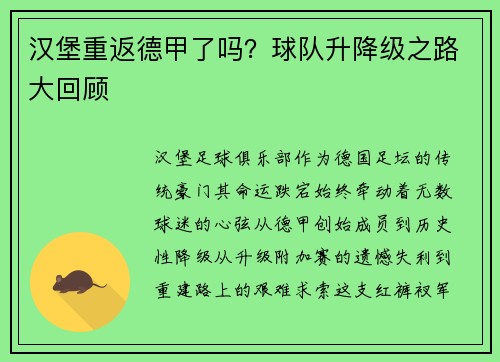 汉堡重返德甲了吗？球队升降级之路大回顾